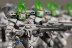 Warhammer 40K Eldar Guardians x10 (99120104018) (Painted)