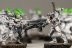 Warhammer 40K Eldar Guardians x10 (99120104018) (Painted)
