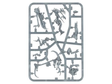 Marrowscroll Herald (Предзаказ 2024, Age of Sigmar, Flesh-Eater Courts)