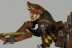 Warhammer Fantasy Battles Empire State Handgunner x1 (99120202012) (Painted)