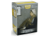 Протекторы Dragon Shield (100 шт., 63x88 мм): с рисунком Whistler&#039;s Mother