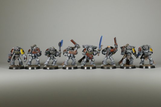 Warhammer 40k Space Wolves Pack x8 (99120101078) (Painted)