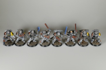 Warhammer 40k Space Wolves Pack x8 (99120101078) (Painted)