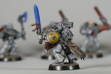 Warhammer 40k Space Wolves Pack x8 (99120101078) (Painted)