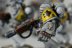 Warhammer 40k Space Wolves Pack x8 (99120101078) (Painted)