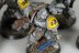 Warhammer 40k Space Wolves Pack x8 (99120101078) (Painted)