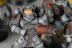 Warhammer 40k Space Wolves Pack x8 (99120101078) (Painted)