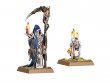 Necromancer Wizard and Familiar (GW Direct)