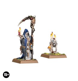 Necromancer Wizard and Familiar (GW Direct)
