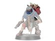 Cawdor Ash Wastes Upgrades (предзаказ, GW Direct)