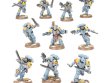 Space Wolves Army Set (предзаказ 2025)