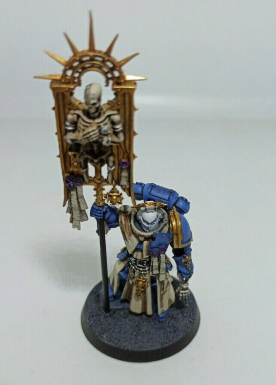Warhammer 40k Space Marines Indomitus Bladeguard Ancient (Pro-Painted)
