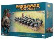 Goblin Wolf Rider Mob (The Old World, Orc & Goblin Tribes)