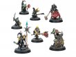 Destruction Warbands: Brutes and Bandits