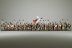 Warhammer Fantasy Battles Empire State Troops x32 (Painted)
