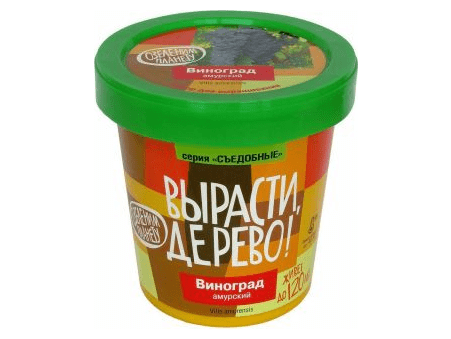 Вырасти дерево: Виноград Амурский