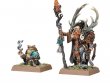 Elementalist and Familiar (GW Direct)