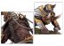 Chaos Chariots (предзаказ, GW Direct)