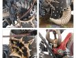 Chaos Chariots (предзаказ, GW Direct)