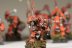 Warhammer Fantasy Battles / AOS Orruk Ardboys x10 (99120209033) (Painted)