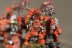 Warhammer Fantasy Battles / AOS Orruk Ardboys x10 (99120209033) (Painted)