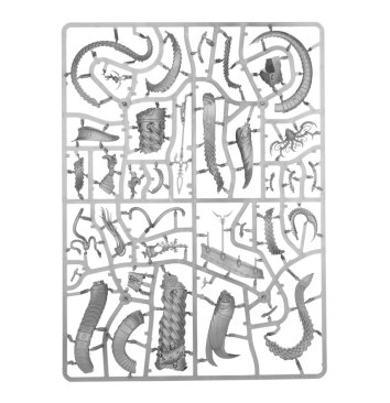 Morathi (предзаказ 2024)