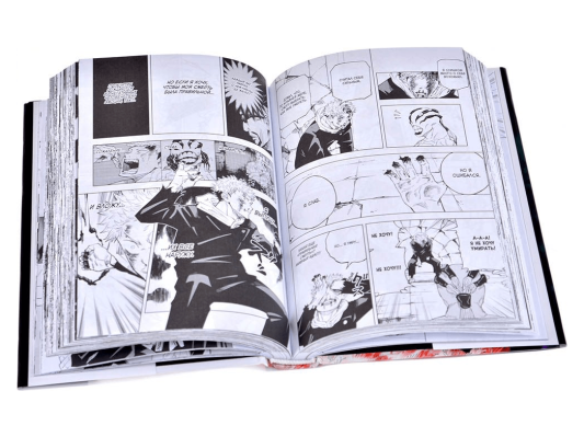 Магическая битва. Книга 1: Двуликий Сукуна. Проклятый плод