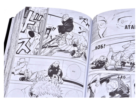 Магическая битва. Книга 1: Двуликий Сукуна. Проклятый плод