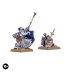 Battle Wizard and Familiar (GW Direct)