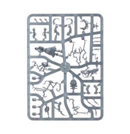 Wracks (предзаказ 2025, GW Direct)
