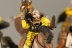 Warhammer Fantasy Battles Empire Pistoliers x5 (99120202019) (Painted)