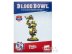 Blood Bowl Troll (2021)