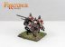 Templar Knights