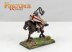 Templar Knights