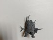 Lord of Plagues (Собранный, голова от Глоткина)