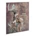 Warhammer: Khaine (Softback)
