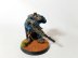 Warhammer 40000 Space Marine Primaris Eliminators x3 (Pro-Painted)