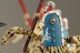 Warhammer Fantasy Battles Tomb Kings Skeleton Horsemen x8 (Painted)