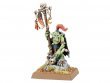 Goblin Shaman (The Old World, Orc & Goblin Tribes)