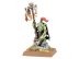 Goblin Shaman (The Old World, Orc &amp; Goblin Tribes)