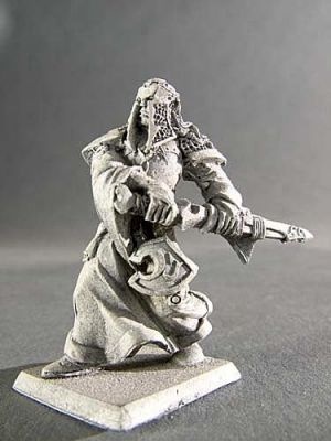 Dark Elf Hero