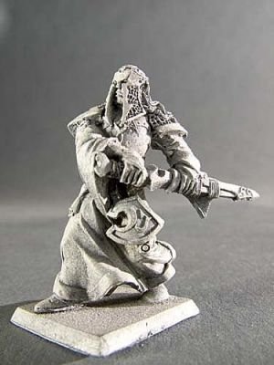 Dark Elf Hero
