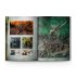 Chaos Battletome: Skaven (предзаказ 2025)
