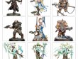 Order Warbands: Heroes and Hunters