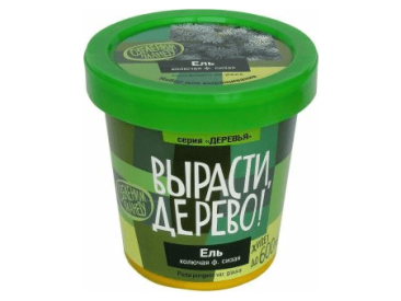 Вырасти дерево: Ель колючая ф. сизая
