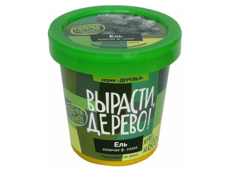 Вырасти дерево: Ель колючая ф. сизая