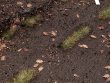 Текстурная паста Vallejo Diorama FX: Russian Mud 26.208