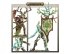 Spearhead: Sylvaneth (предзаказ 2025)
