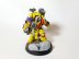 Warhammer 40k Primaris Space Marine Imperial Fists Tor Garadon (Pro-Painted)