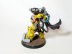 Warhammer 40k Primaris Space Marine Imperial Fists Tor Garadon (Pro-Painted)